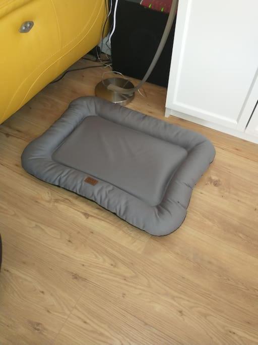 Schicke Hundefreundliche Appartement